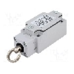 Limitator de cursa, max. 240V AC, max. 250V DC, 10A, IP66, POKÓJ - PBM1E99PZ11A