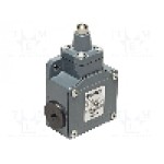 Limitator de cursa, max. 250V DC, max. 500V AC, 10A, IP67, PIZZATO ELETTRICA - FL 511 Limitator de cursa, max. 250V DC, max. 500V AC, 10A, IP67, PIZZATO ELETTRICA - FL 511