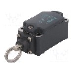 Limitator de cursa, max. 250V DC, max. 500V AC, 10A, IP67, PIZZATO ELETTRICA - FP 576 Limitator de cursa, max. 250V DC, max. 500V AC, 10A, IP67, PIZZATO ELETTRICA - FP 576