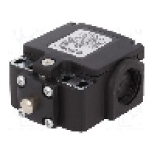 Limitator de cursa, max. 250V DC, max. 500V AC, 10A, IP67, PIZZATO ELETTRICA - FX 501 Limitator de cursa, max. 250V DC, max. 500V AC, 10A, IP67, PIZZATO ELETTRICA - FX 501