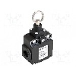 Limitator de cursa, max. 250V DC, max. 500V AC, 10A, IP67, PIZZATO ELETTRICA - FX 576 Limitator de cursa, max. 250V DC, max. 500V AC, 10A, IP67, PIZZATO ELETTRICA - FX 576
