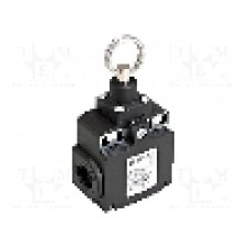 Limitator de cursa, max. 250V DC, max. 500V AC, 10A, IP67, PIZZATO ELETTRICA - FX 576 Limitator de cursa, max. 250V DC, max. 500V AC, 10A, IP67, PIZZATO ELETTRICA - FX 576
