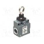 Limitator de cursa, max. 250V DC, max. 500V AC, 10A, IP67, PIZZATO ELETTRICA - FZ 576