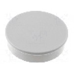 Magnet neodim, 8.5mm, 36mm, ELESA+GANTER - GN 53.1-ND-36-GR