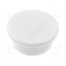 Magnet neodim, 8mm, 40mm, ELESA+GANTER - GN 53.1-ND-40-WS