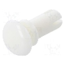 Nit poliamida, lungime 10.5mm, DREMEC - 8G4025.0X8.5W