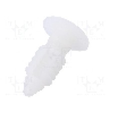 Nit poliamida, lungime {{Lungime nit}}, RICHCO - PL-250-12-01