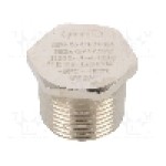 Presetupa alama, NPT3/4