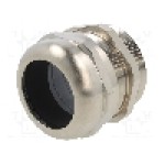 Presetupa alama, PG48, IP68, SKINTOP® MS, LAPP - 52015767