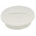 Presetupa poliamida, M20, IP54, V-N-FS, HUMMEL - 1.251.2000.50