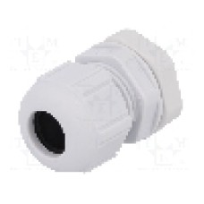 Presetupa poliamida, M20, IP68, SPELSBERG - 22742001