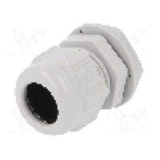 Presetupa poliamida, M25, IP68, RITTAL - 2411.631