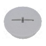 Presetupa poliamida, M32, IP54, SKINDICHT®, LAPP - 52006140