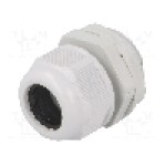 Presetupa poliamida, M32, IP65, RAYCHEM RPG - RNMG32X1.5