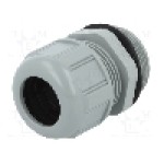 Presetupa poliamida, M32, IP68, MOLEX - 93600-0361 7000.7825.0 Presetupa poliamida, M32, IP68, MOLEX - 93600-0361 7000.7825.0