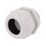 Presetupa poliamida, M40, IP68, HSK-K, HUMMEL - 1.209.4000.50 Presetupa poliamida, M40, IP68, HSK-K, HUMMEL - 1.209.4000.50