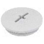 Presetupa poliamida, M40, IP68, SKINDICHT®, LAPP - 52006159