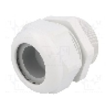 Presetupa poliamida, M50, IP68, HSK-K, HUMMEL - 1.209.5000.31