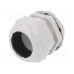 Presetupa poliamida, M50, IP68, RITTAL - 2411.661