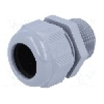 Presetupa poliamida, NPT1 Presetupa poliamida, NPT1