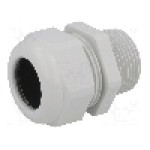 Presetupa poliamida, NPT1 Presetupa poliamida, NPT1