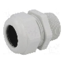 Presetupa poliamida, NPT1