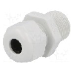 Presetupa poliamida, NPT3/8 Presetupa poliamida, NPT3/8