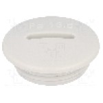 Presetupa poliamida, PG13,5, IP54, V-N-FS, HUMMEL - 1.251.1300.11