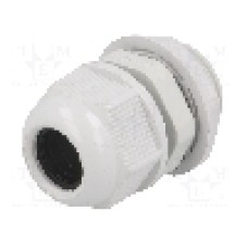 Presetupa poliamida, PG13,5, IP65, RAYCHEM RPG - RNPG-13.5