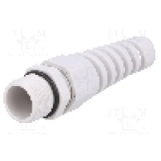 Presetupa poliamida, PG13,5, IP68, BM GROUP - BM4013S