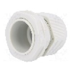 Presetupa poliamida, PG21, IP68, KSS WIRING - EG-21GY1 Presetupa poliamida, PG21, IP68, KSS WIRING - EG-21GY1