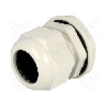 Presetupa poliamida, PG29, IP68, KSS WIRING - EGRWW29GY1 Presetupa poliamida, PG29, IP68, KSS WIRING - EGRWW29GY1