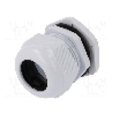 Presetupa poliamida, PG36, IP67, PAWBOL - D.3077