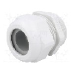 Presetupa poliamida, PG36, IP68, HSK-K, HUMMEL - 1.209.3600.15