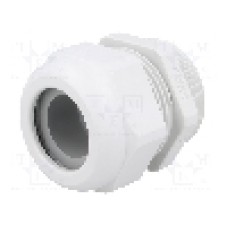 Presetupa poliamida, PG36, IP68, HSK-K, HUMMEL - 1.209.3600.15