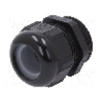 Presetupa poliamida, PG36, IP68, {{Seria producatorului}}, LAPP - 53015370