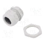 Presetupa poliamida, PG36, IP68, V-TEC PG, OBO BETTERMANN - V-TEC PG36+ LGR