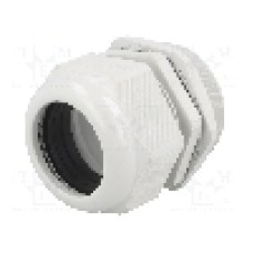 Presetupa poliamida, PG63, IP65, RAYCHEM RPG - RNPG-63