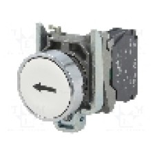 Intrerupator acţionat prin apasare, 22mm, seria Harmony XB4, {{Clasa etanşeitate}}, SCHNEIDER ELECTRIC - XB4BA3341