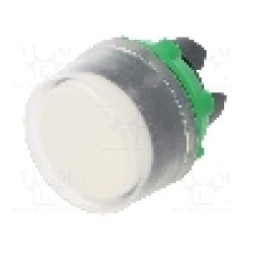 Intrerupator acţionat prin apasare, 22mm, seria Harmony XB5, IP66, SCHNEIDER ELECTRIC - ZB5AP1 Intrerupator acţionat prin apasare, 22mm, seria Harmony XB5, IP66, SCHNEIDER ELECTRIC - ZB5AP1