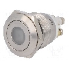 Intrerupator anti-vandalism, OFF-(ON), Ø19mm, ONPOW, GQ19F-10D/R/12V/S, T154880