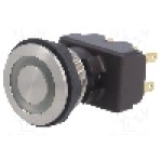 Intrerupator anti-vandalism, ON-(ON), Ø19mm, SCHURTER, 1241.6924.1124000, T155828 Intrerupator anti-vandalism, ON-(ON), Ø19mm, SCHURTER, 1241.6924.1124000, T155828