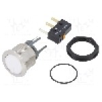 Intrerupator anti-vandalism, ON-(ON), Ø19mm, SCHURTER, 1241.7026.1124000 Intrerupator anti-vandalism, ON-(ON), Ø19mm, SCHURTER, 1241.7026.1124000