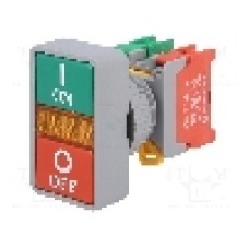 Intrerupator dublu, 1 pozitii, 30mm, seria DPB30, AUSPICIOUS - DPB-30-1O/C