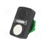 Intrerupator dublu, 22mm, seria Harmony XB5, IP66, SCHNEIDER ELECTRIC - ZB5AW7A1720 Intrerupator dublu, 22mm, seria Harmony XB5, IP66, SCHNEIDER ELECTRIC - ZB5AW7A1720