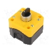 Intrerupator rotativ, 22mm, seria B1, IP65, AUSPICIOUS - B1-RS-2O YELLOW/BLACK Intrerupator rotativ, 22mm, seria B1, IP65, AUSPICIOUS - B1-RS-2O YELLOW/BLACK