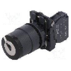 Intrerupator rotativ cu cheie, 22mm, seria Harmony XB5, IP66, SCHNEIDER ELECTRIC - XB5AG41 Intrerupator rotativ cu cheie, 22mm, seria Harmony XB5, IP66, SCHNEIDER ELECTRIC - XB5AG41