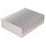Radiator extrudat, aluminiu, 100mm x 124mm, STONECOLD - 
