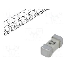 Siguranta fuzibila lenta, SMD 2410, 1A, 125V, 125V AC, 125V DC, LITTELFUSE - 0454001.MR