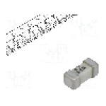 Siguranta fuzibila lenta, SMD 2410, 3.5A, 125V, 125V AC, 125V DC, LITTELFUSE - 045403.5MR